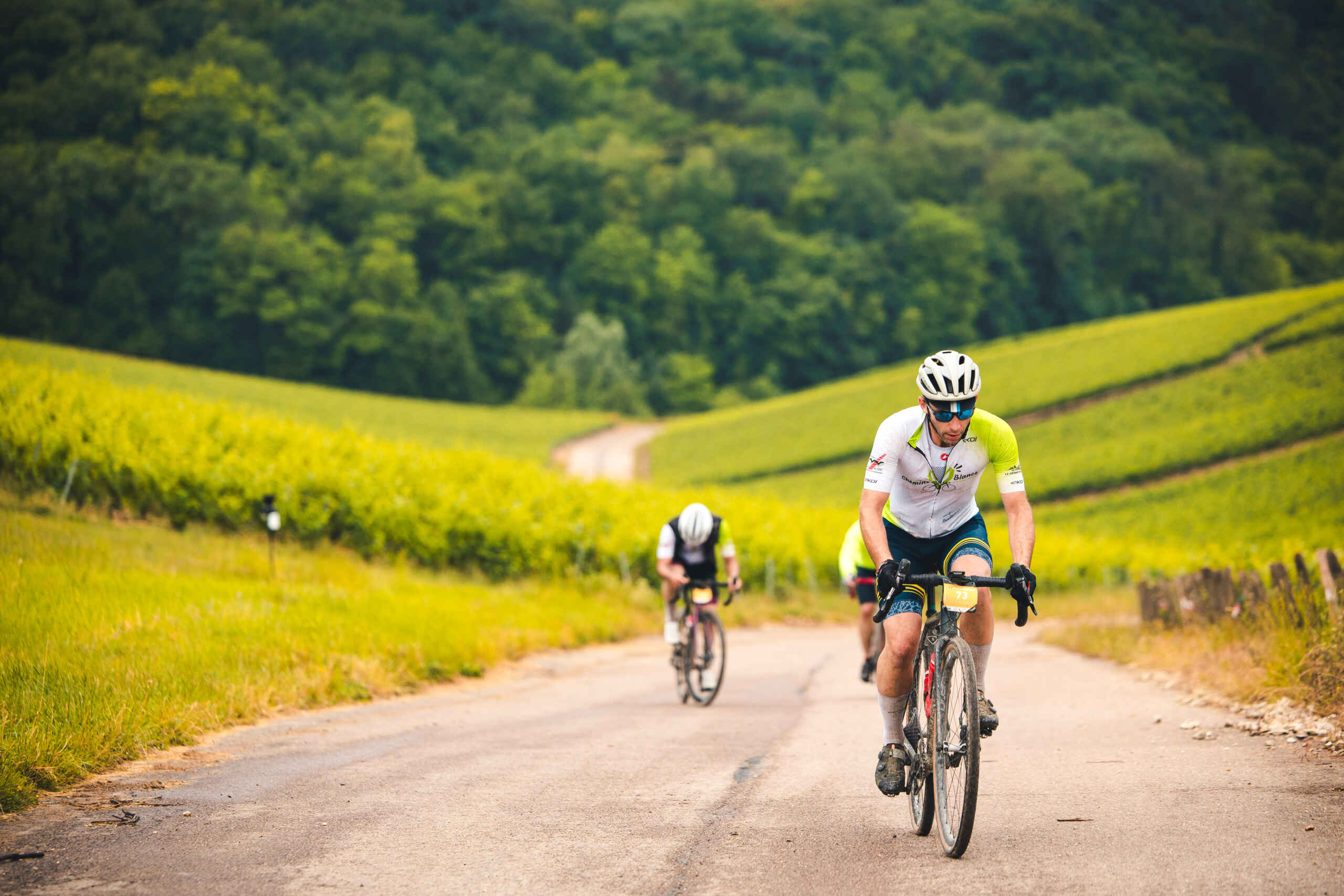 Bar-sur-Aube Chemins Blancs